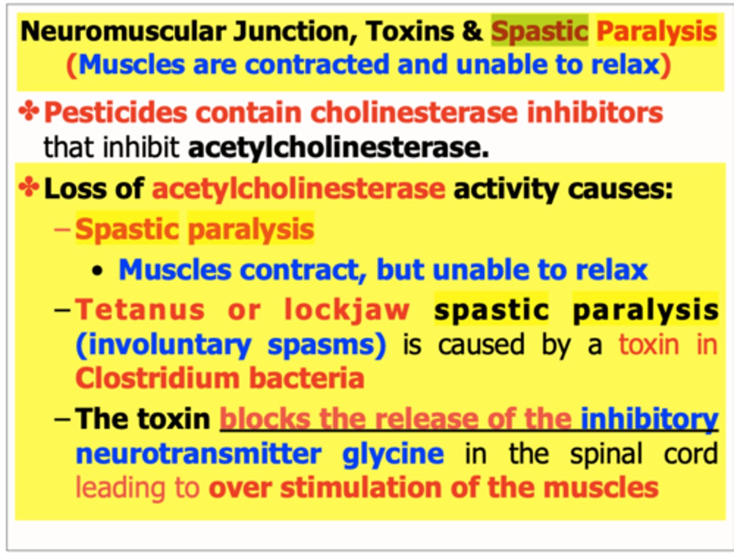 <p>Anything that 1) prevents breakdown of ACh by enzyme acetylcholinesterase 2) Anything that prevents sodium (Na+) channels from closing after depolarization</p>