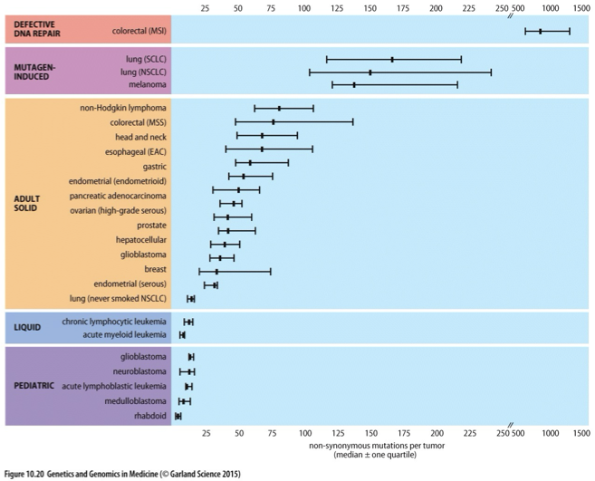 <p>A measure of the frequency of mutations that alter amino acid sequences within proteins across various types of tumors, impacting cancer biology and treatment outcomes. </p>