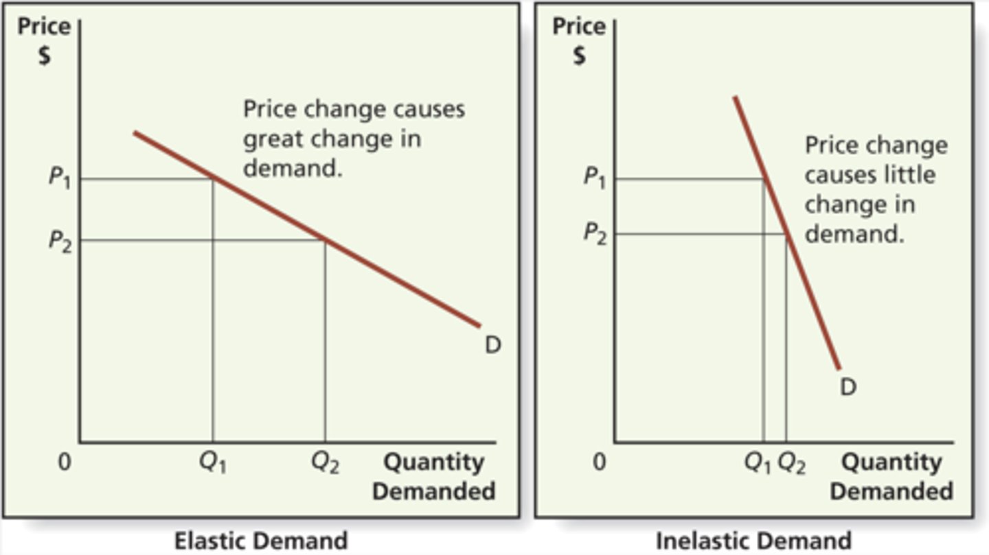 <p>The responsiveness of quantity demanded to a change in price.</p>