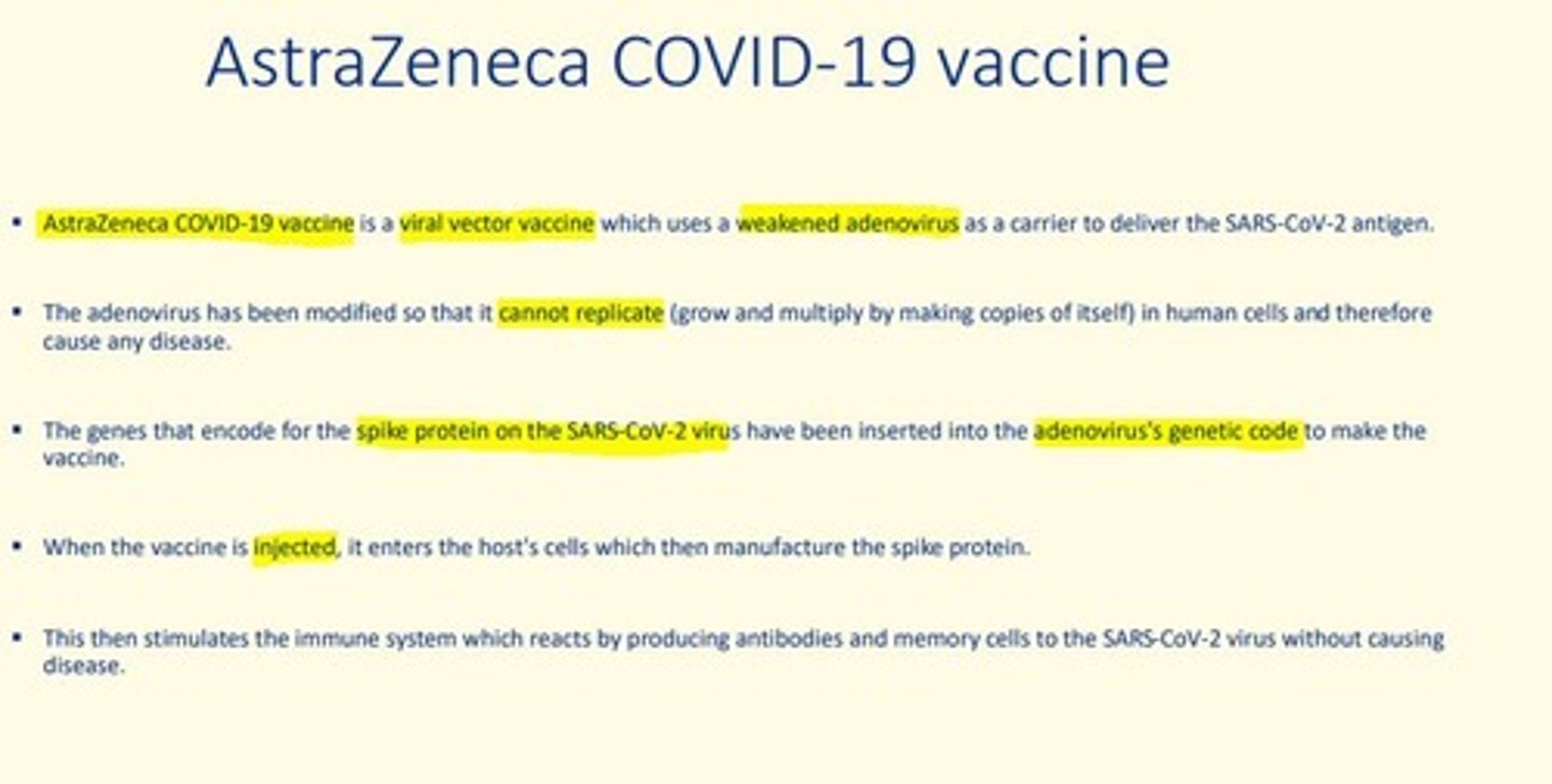 <p>Viral vector vaccine which uses a weakened adenovirus as a carrier to deliver the SARS-CoV-2 antigen</p><p>Adenovirus has been modified so it cannot replicate in human cells (and cannot cause disease).</p><p>The genes that encode the spike protein on SARS-CoV-2 virus have been inserted into the adenovirus's genetic code to make the vaccine.</p><p>When the vaccine is injected, it enters the host's cells which then manufacture the spike protein.</p><p>This then stimulates the immune system which reacts by producing antibodies and memory cells to the SARS-CoV-2 virus without causing disease.</p>