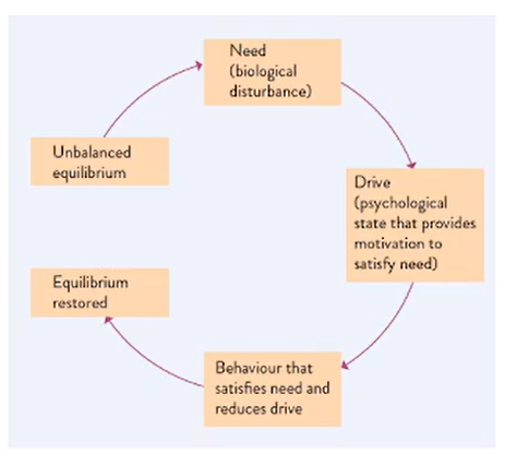 Drive Reduction Theory And Homeostasis
