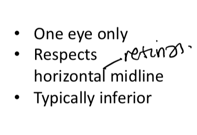 <p>Anterior ischaemic optic neuropathy</p>