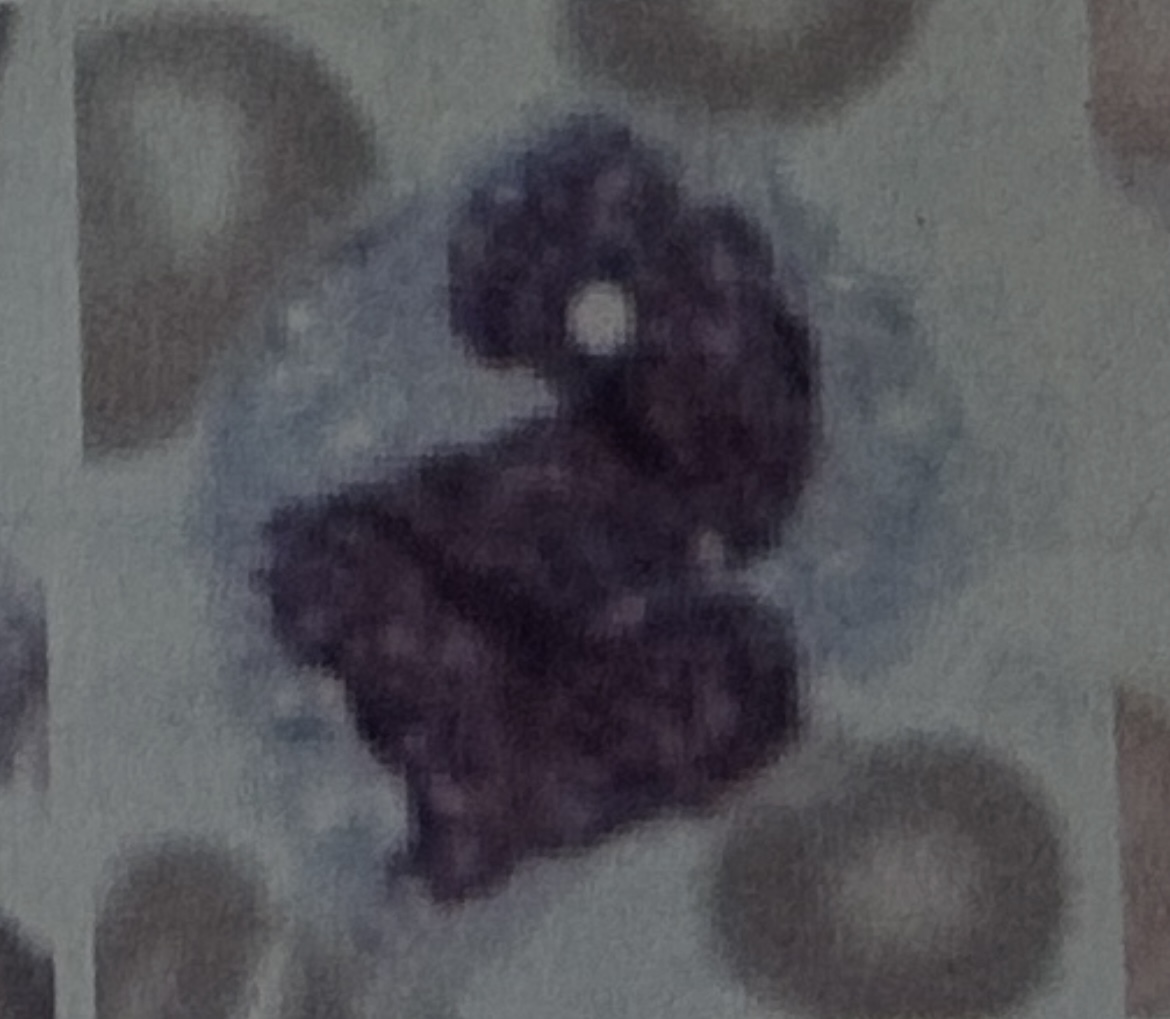 <p>?</p>
