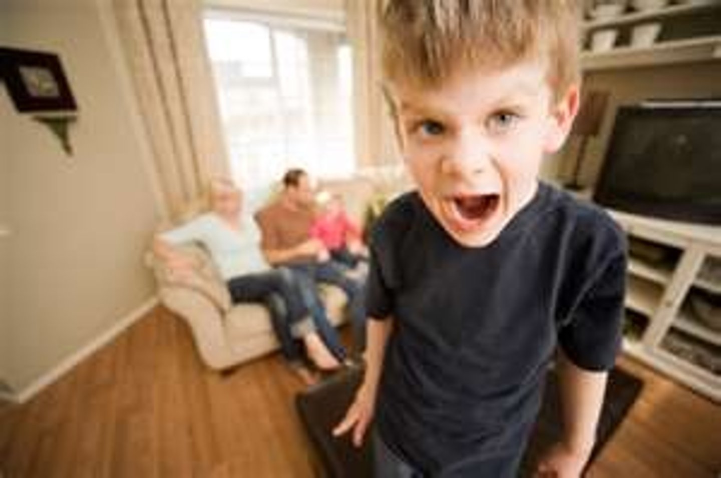 <p>behavior</p>