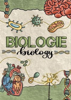 <p>biologija</p>