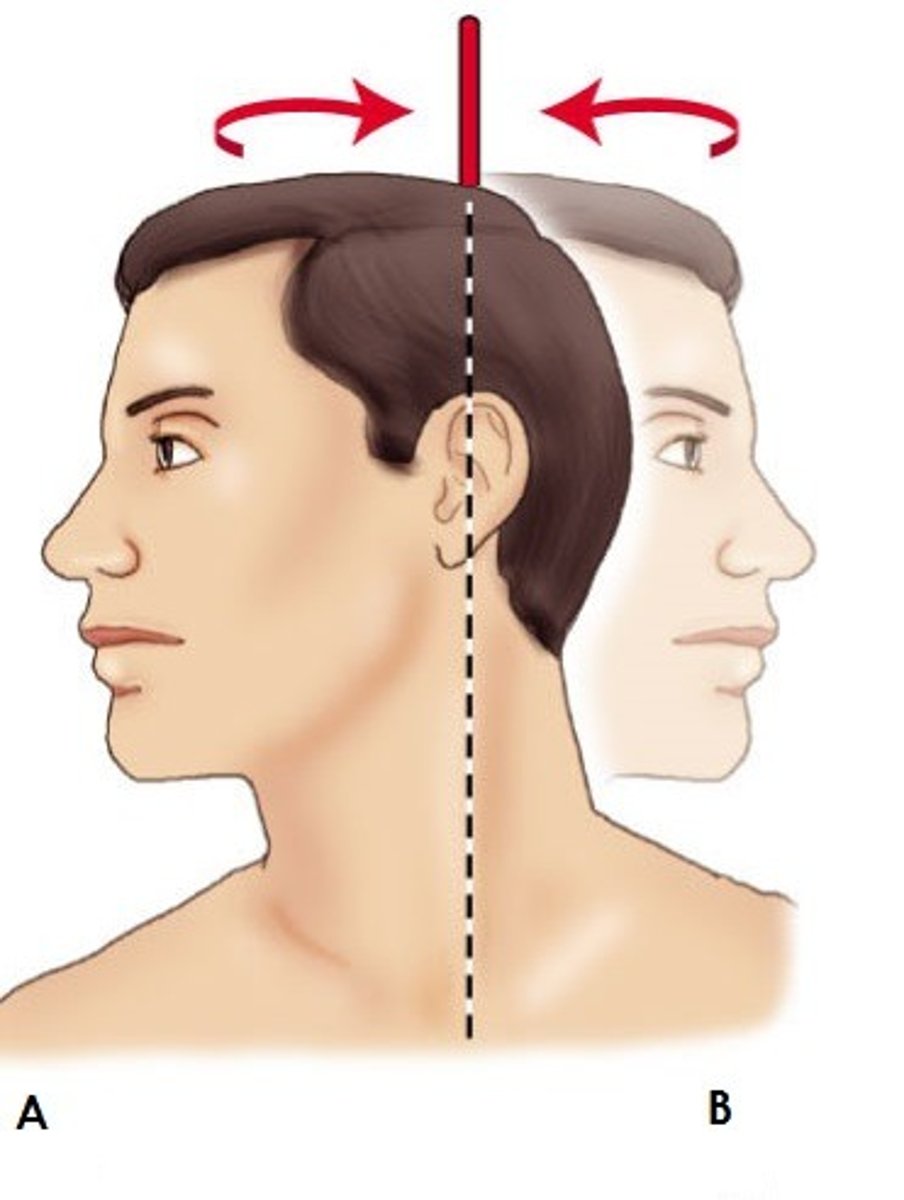 <p>Movement in the horizontal plane about a vertical axis turning the head or trunk from left or right about that axis</p>