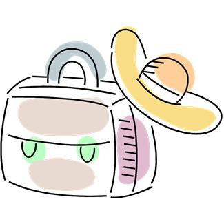 carry-on luggage