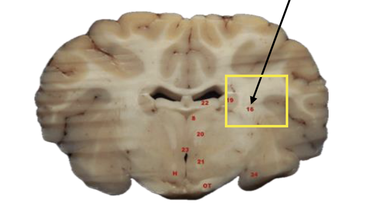 <p>What is this highlighted figure?</p>