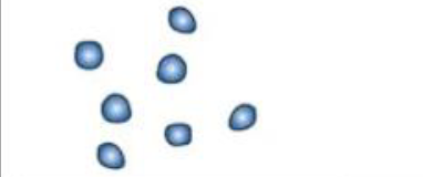 <p>Identify shape</p>