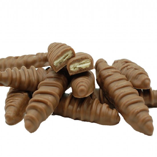 <p>A crispy jordan cracker covered in chocolate (Jordan is a type of cracker due to its shape)</p>