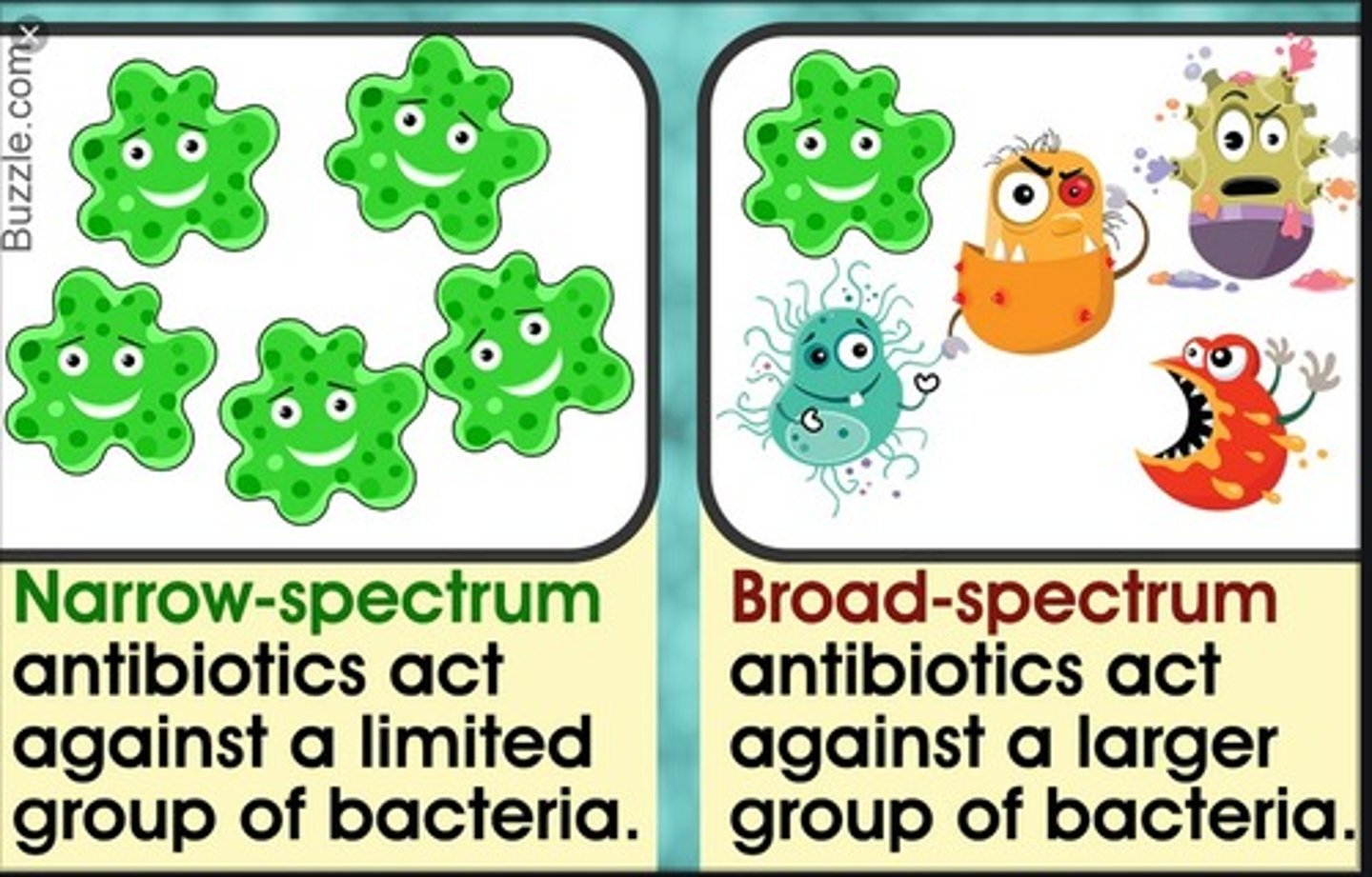 <p>activity against several different types of pathogens</p>