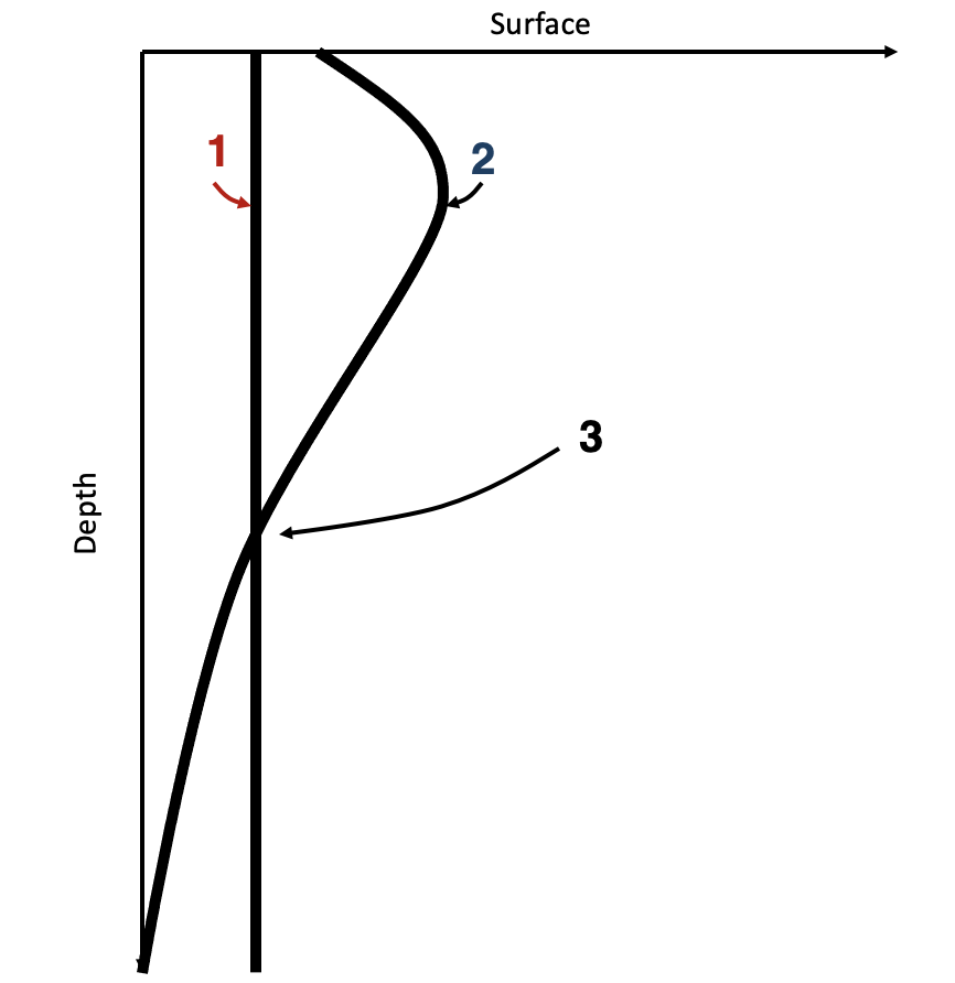 <p>Consider the processes that determine compensation depth. What is process #1 in the plot below?</p>