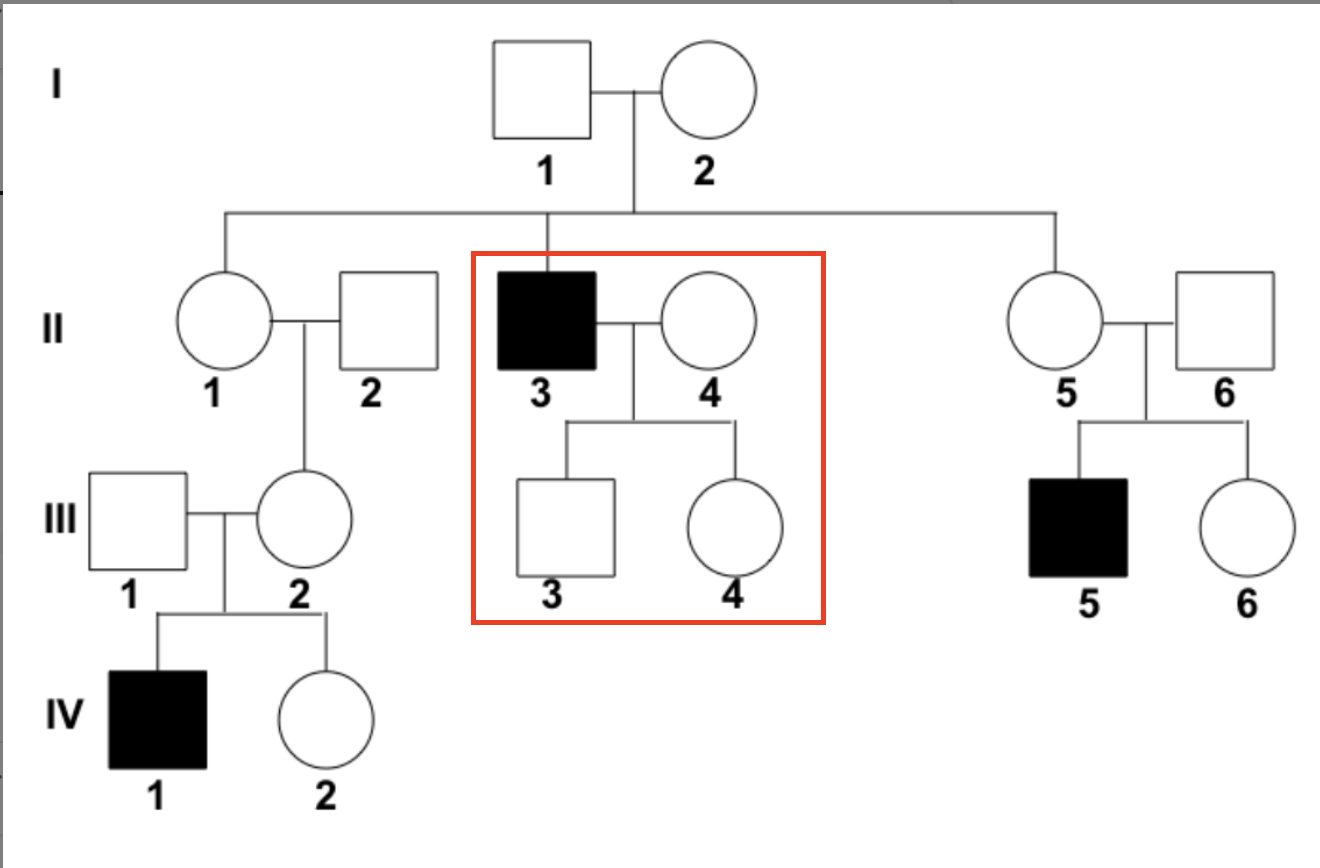 <p>Di truyền lặn NST X</p><ul data-type="taskList"><li data-checked="true" data-type="taskItem"><label><input type="checkbox" checked="checked"><span></span></label><div><p>Ô đỏ đúng với TH: X<sup>a</sup>Y x X<sup>A</sup>Y</p></div></li></ul><p></p>