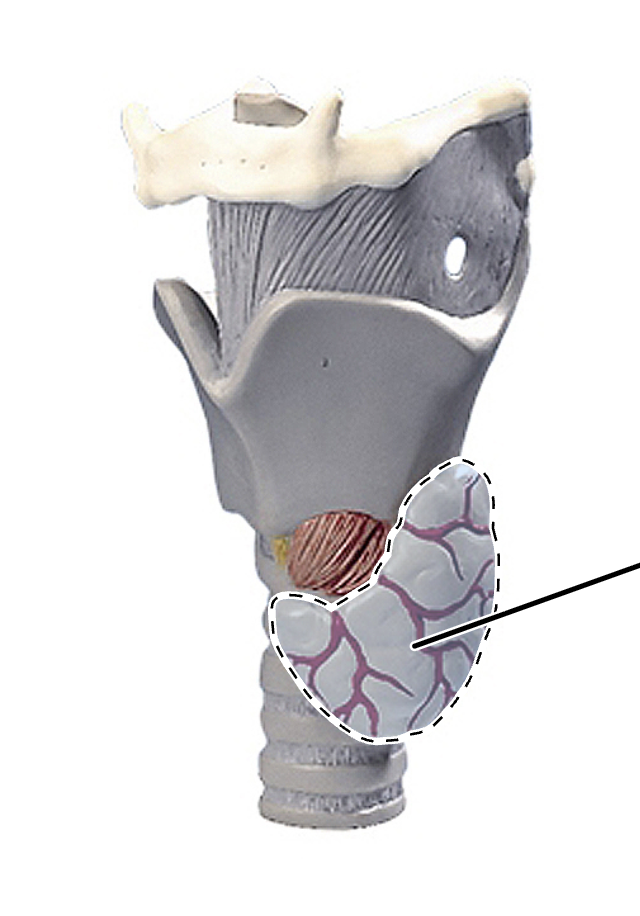 <p>What is this?</p>