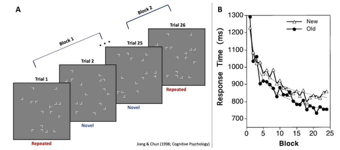 <ul><li><p><span>Task: Find the T and indicate its rotation</span></p></li><li><p><span>Conditions: some displays are repeated in the next block</span></p></li><li><p><span>Result: Repetition leads to faster detection</span></p></li><li><p><span>Even though people are <em>unaware </em>of the repetition! → <em>Implicit context </em>effect</span></p></li><li><p><span>Does not occur for amnesics with hippocampal damage </span></p></li></ul><p></p>