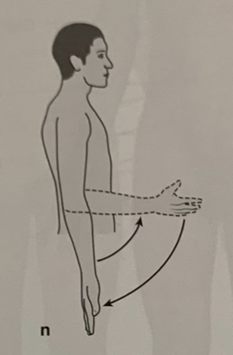 <p>Hvilke anatomiske bevægelser ses her?</p>