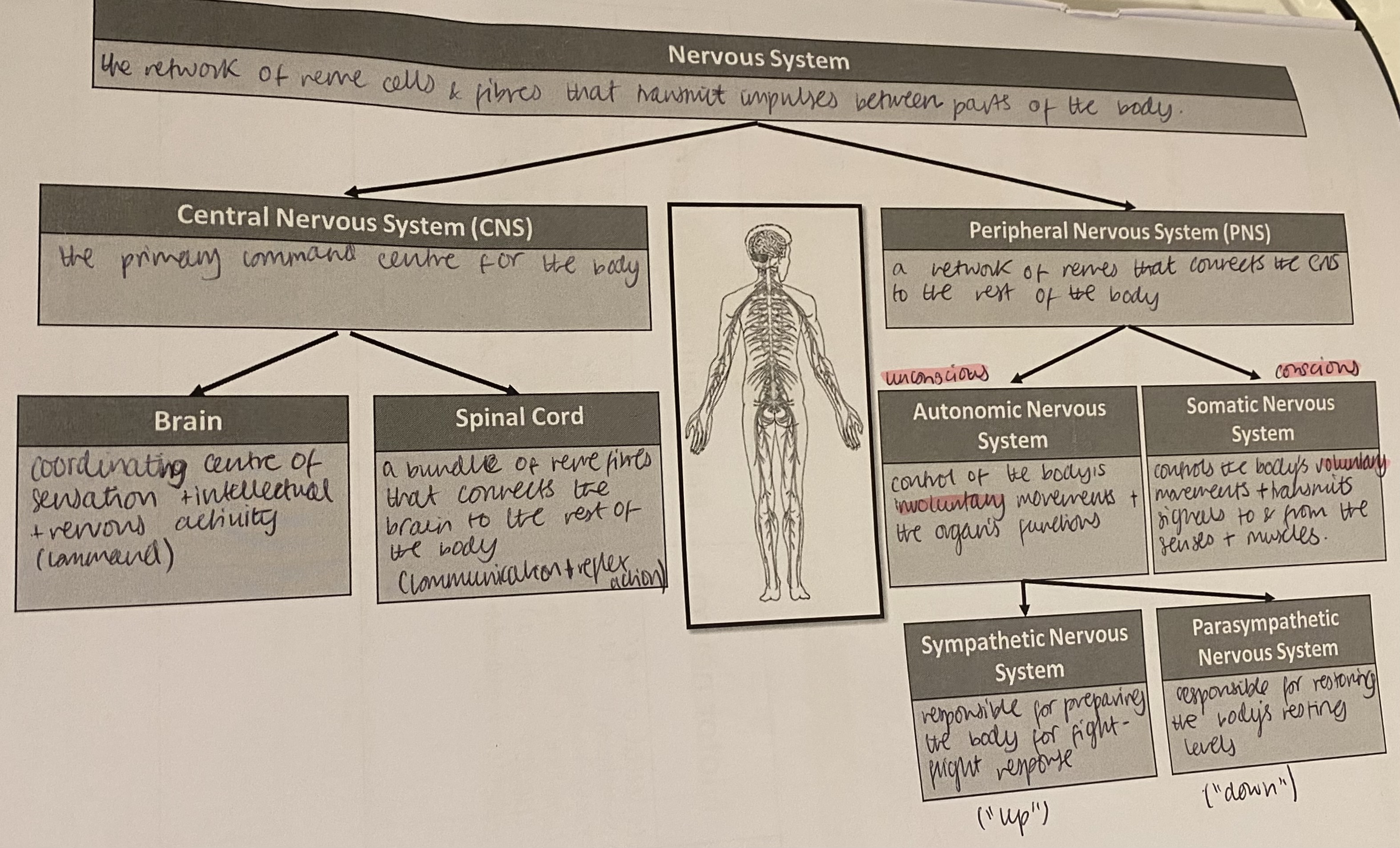 knowt flashcard image
