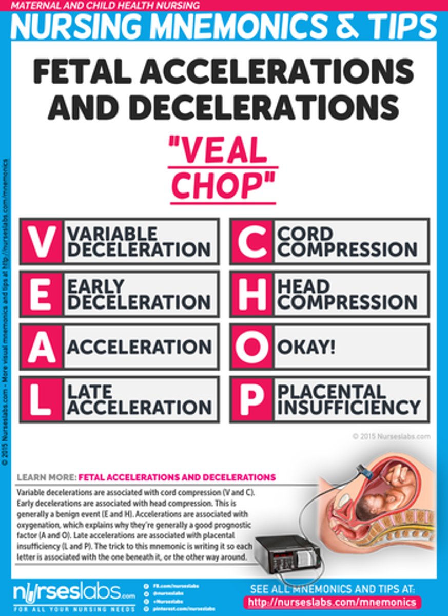 <p>V- Variable C- Cord Comphression</p><p>E- Early Decels H- Head Compression</p><p>A- Accelerations O - OK</p><p>L-Late Decels P - Placenta</p>