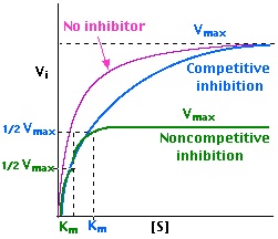 * a mathematical model used to describe the rate of enzymatic reactions. It is based on the assumption that the enzyme-substrate complex forms reversibly and that the rate-limiting step is the breakdown of this complex to form products. 
* consists of the Michaelis constant (Km), which represents the substrate concentration at which the reaction rate is half of its maximum, and the maximum reaction rate (Vmax). 