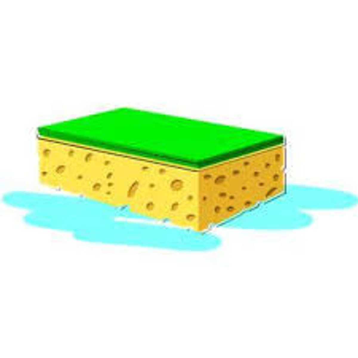 <p>to soak up or take in</p><p>hấp thụ</p>