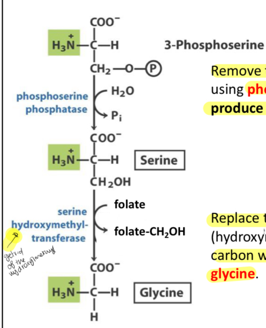 <p>What does this reaction(s) show?</p>