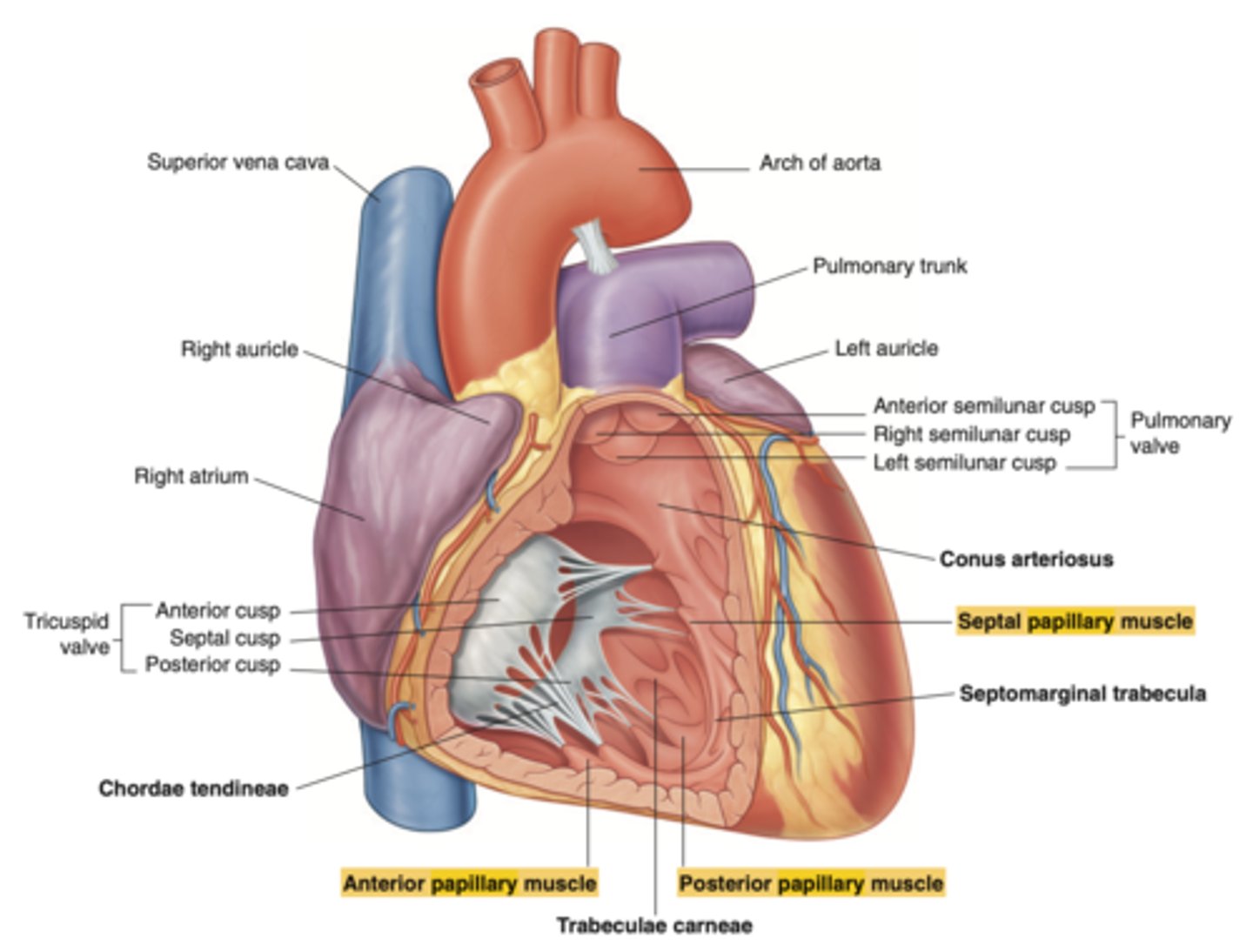 <p>Close</p>
