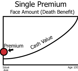 <p>What type of whole life policy is depicted with this graph</p>