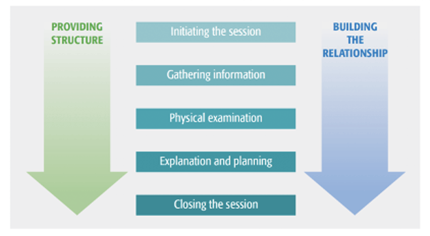 <p>1- initiating the session (prep, intro, rapport, agendas)</p><p>2- gathering information (LICEF)</p><p>3- physical examination (where and when appropriate)</p><p>4- explanation and planning (info, aids, discuss action plan)</p><p>5- closing the session (summarising, teach back, safety net)</p>