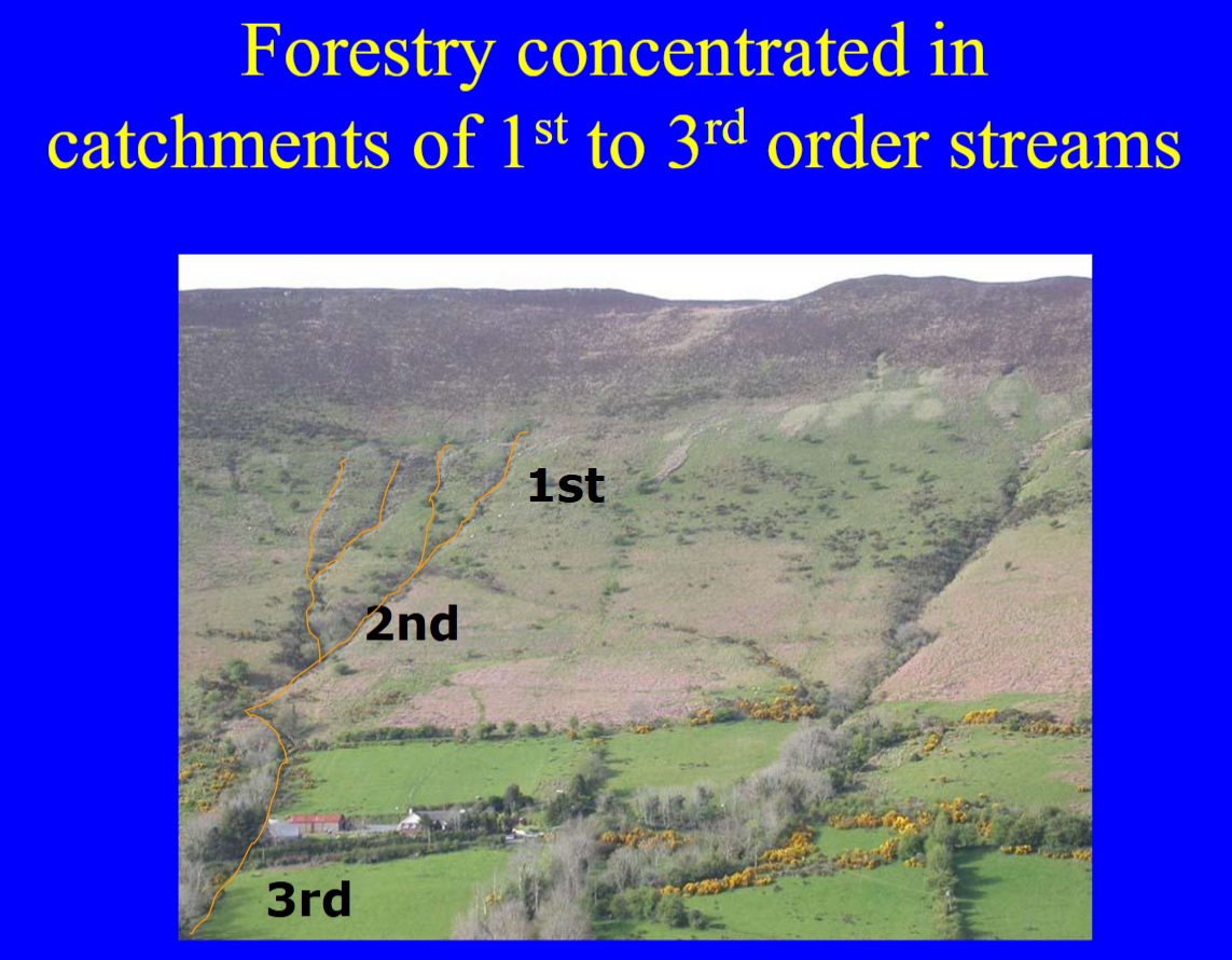 <ul><li><p>10.5% forest cover (3/4 coniferous)</p></li><li><p>Takes 35-40 years to reach maturity</p></li><li><p>Most planted on upland peaty soils</p></li></ul><p></p>