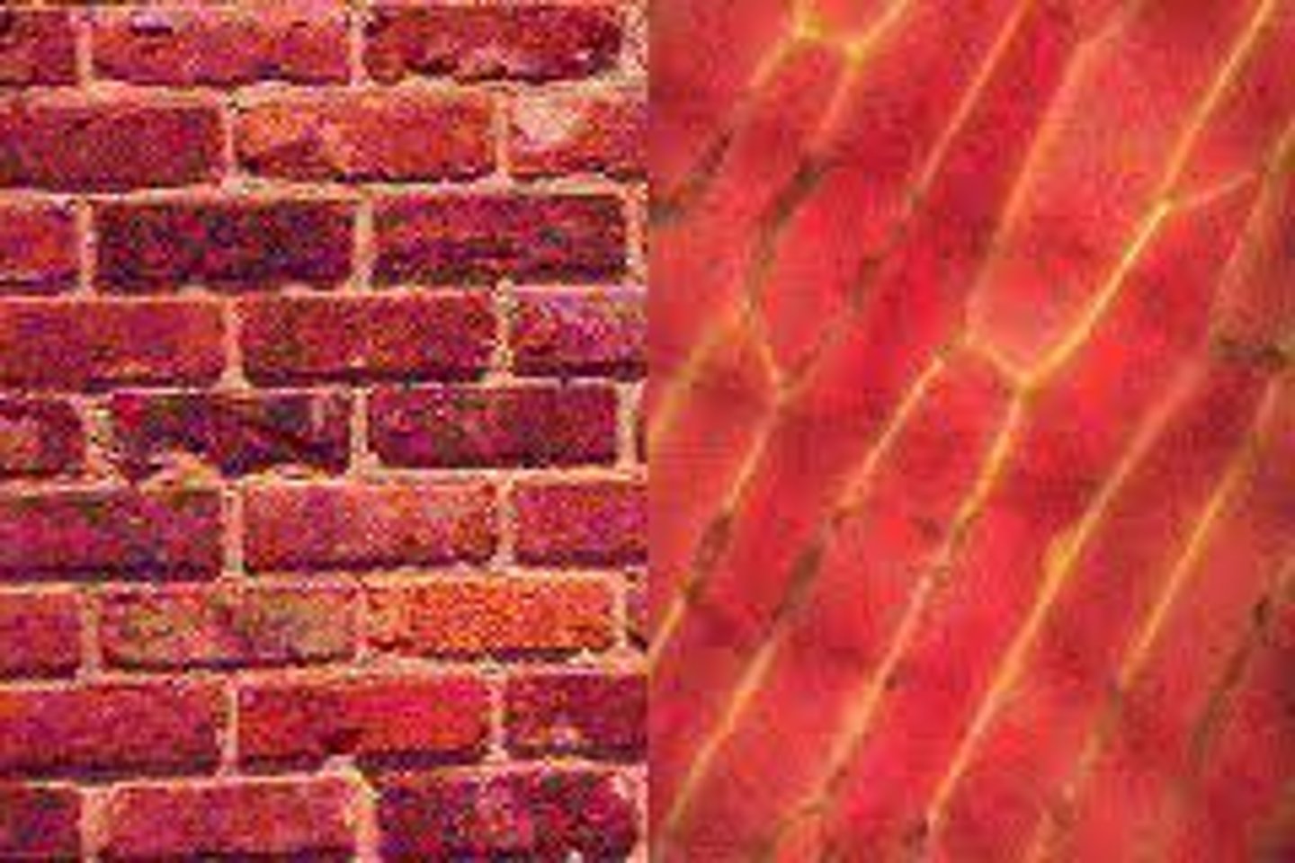 <p>The second statement of The Cell Theory. It is also based on the work of Matthias Schleiden and Theodor Schwann.</p>