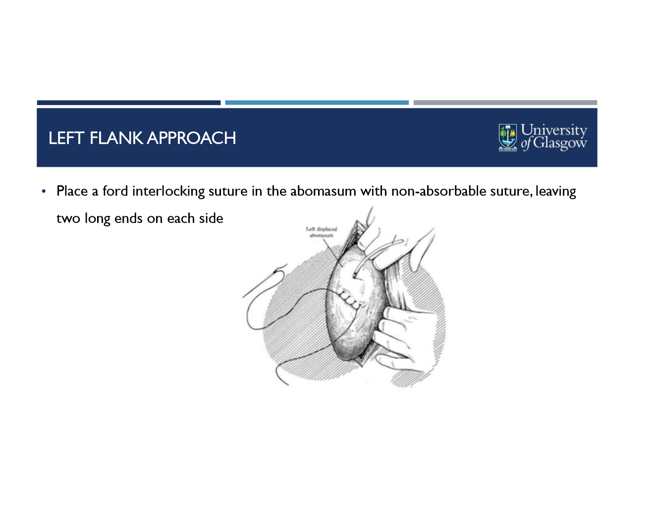 <ul><li><p>standard prep and anesthesia for left flank</p></li><li><p>clip, prep, and mark ventral abdomen (20cm caudal to sternum)</p></li><li><p>left flank incision more cranial and ventral</p></li><li><p>visualize, exteriorize, and decompress abomasum</p></li><li><p>place ford interlocking suture in greater curvature of abomasum with non-absorbable suture, leave two long ends on either side</p></li><li><p>pass each long end thru ventral abd wall- 5 cm apart</p></li><li><p>push abomasum ventrally while assistant pulls gently on sutures then ties ends&nbsp;</p></li></ul><p></p>