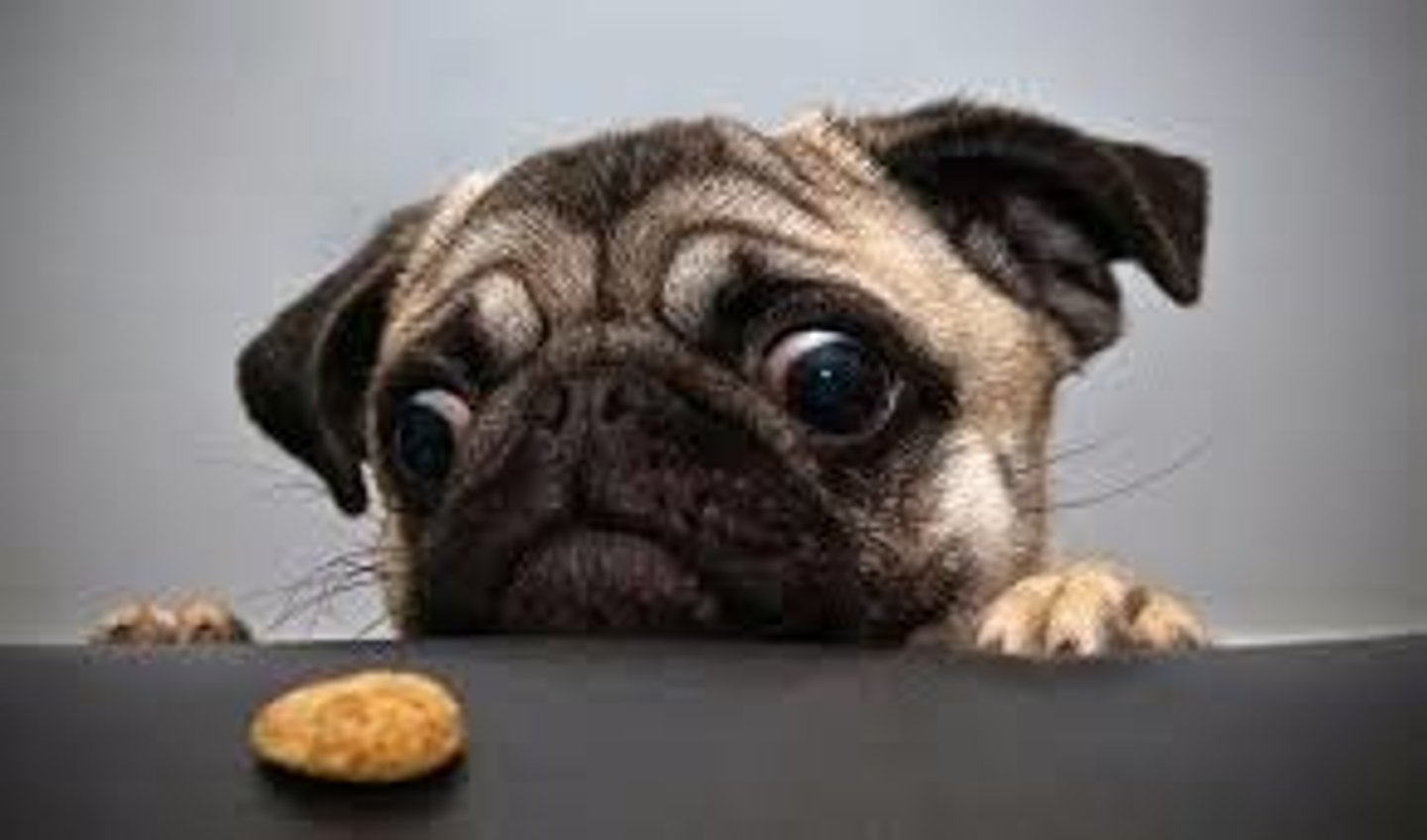 <p>to want (wish)</p>