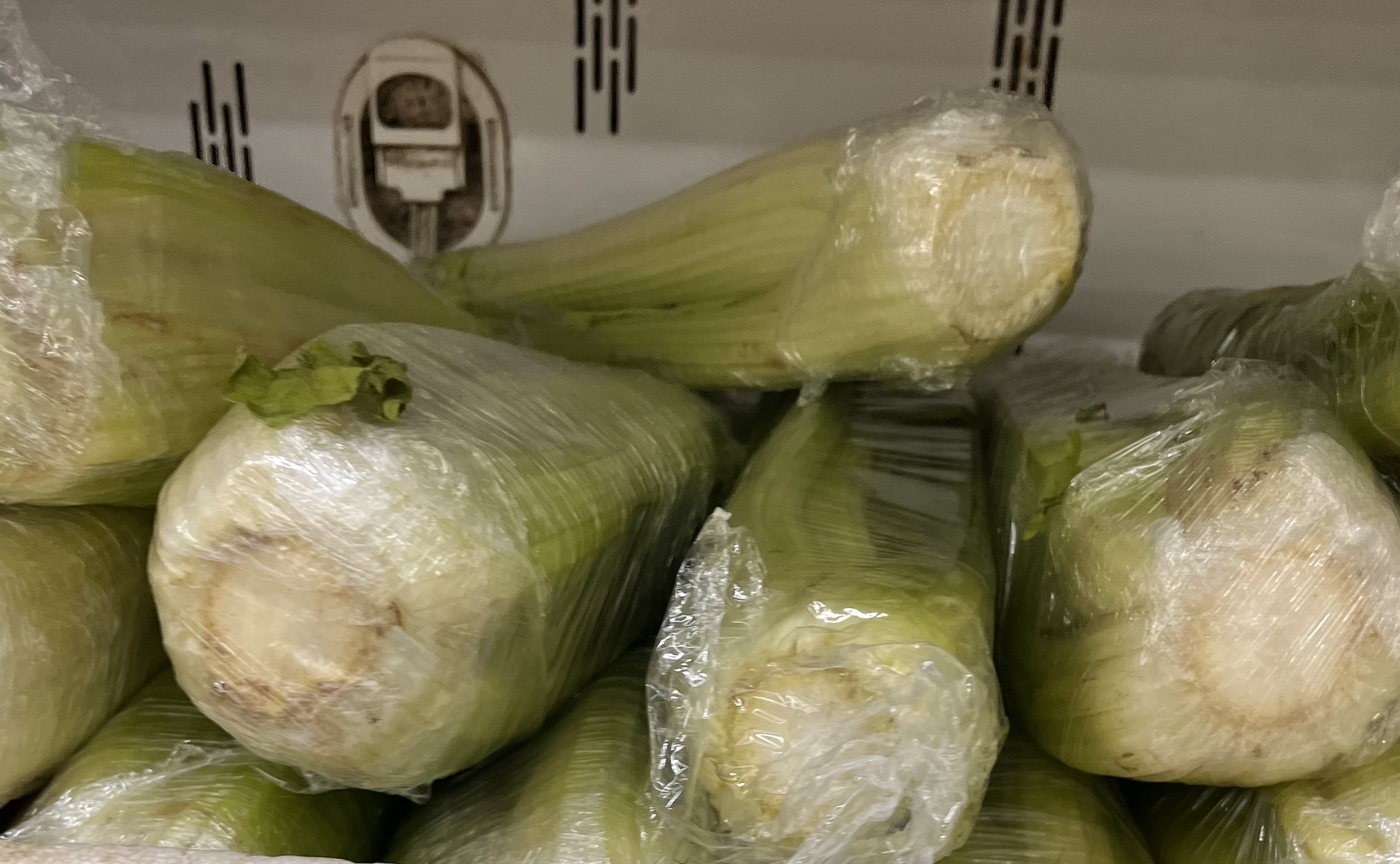 <p>CELERY</p>