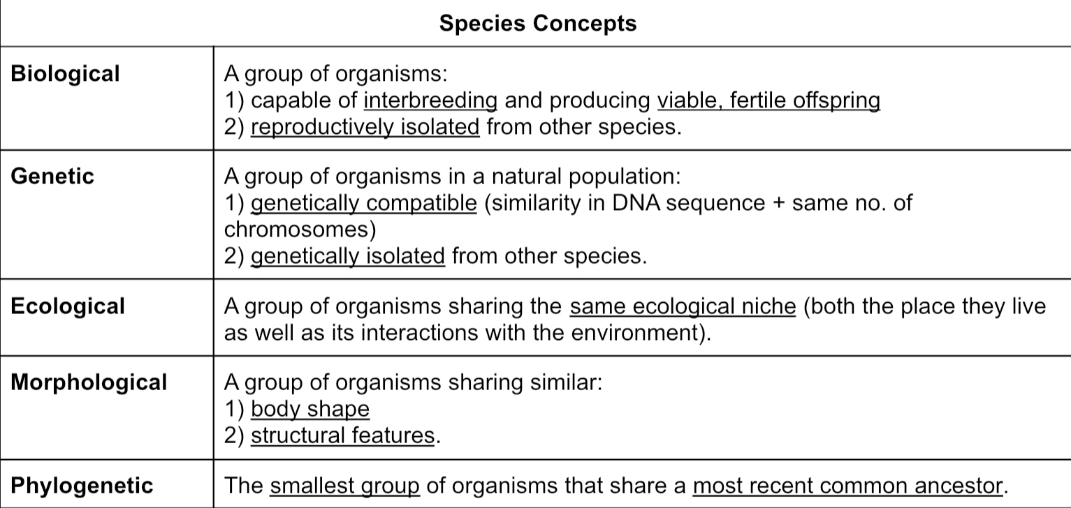 <p>A) Biological species concept → REPRODUCTIVELY ISOLATED, CANNOT PRODUCE FERTILE, VIABLE OFFSPRING. also genetically isolated</p><p>B) Genetic species concept → genetically isolated, but may not be reproductively isolated</p><p>C) Ecological species concept → group of organisms sharing same ecological niche (<u>role</u>: predator, prey, primary producer or consumer, decomposer AND <u>habitat</u>)</p><p>D) Morphological species concept → group of organisms sharing similar body shape and structure features. However, some organisms may be superficially similar due to convergent evolution, and have different evolutionary origins</p><p>E) Phylogenetic species concept → smallest group of organisms that share a most recent common ancestor. They may have homologous morphological structures and/or homologous molecular sequences</p>