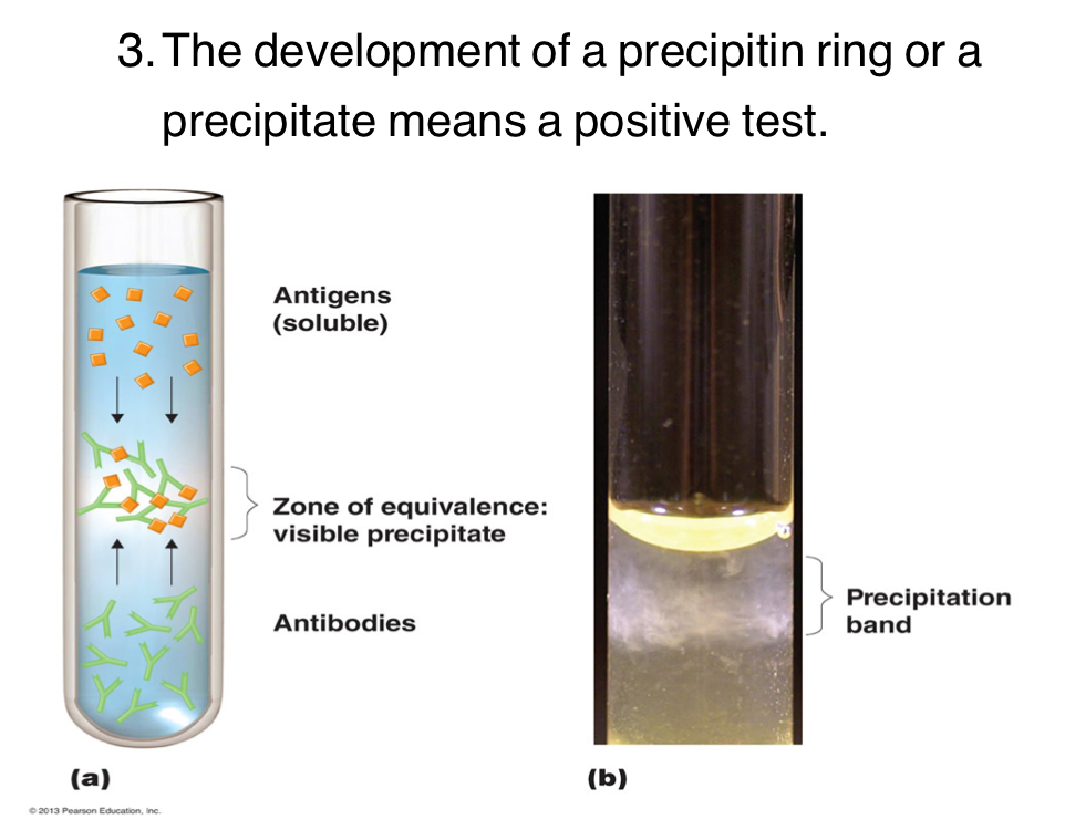 <p>Involves soluble (free-floating) antigens. Reach with IgG or IgM antibodies. You mix soluble antigens in the solution with antibodies, if they mix they become insoluble and the antigen-antibody complex precipitates to the top. </p>