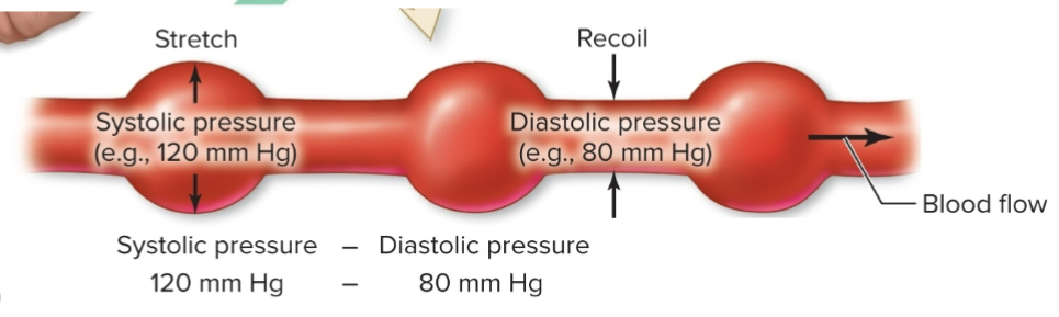 <p>additional pressure placed on arteries from when heart is resting to when heart contracting</p><p>-gives idea of how elastic arteries are</p><p>-measured by <strong>systole - diastole</strong></p><p>→pulse pressure of image shown is 40 mmHg</p>