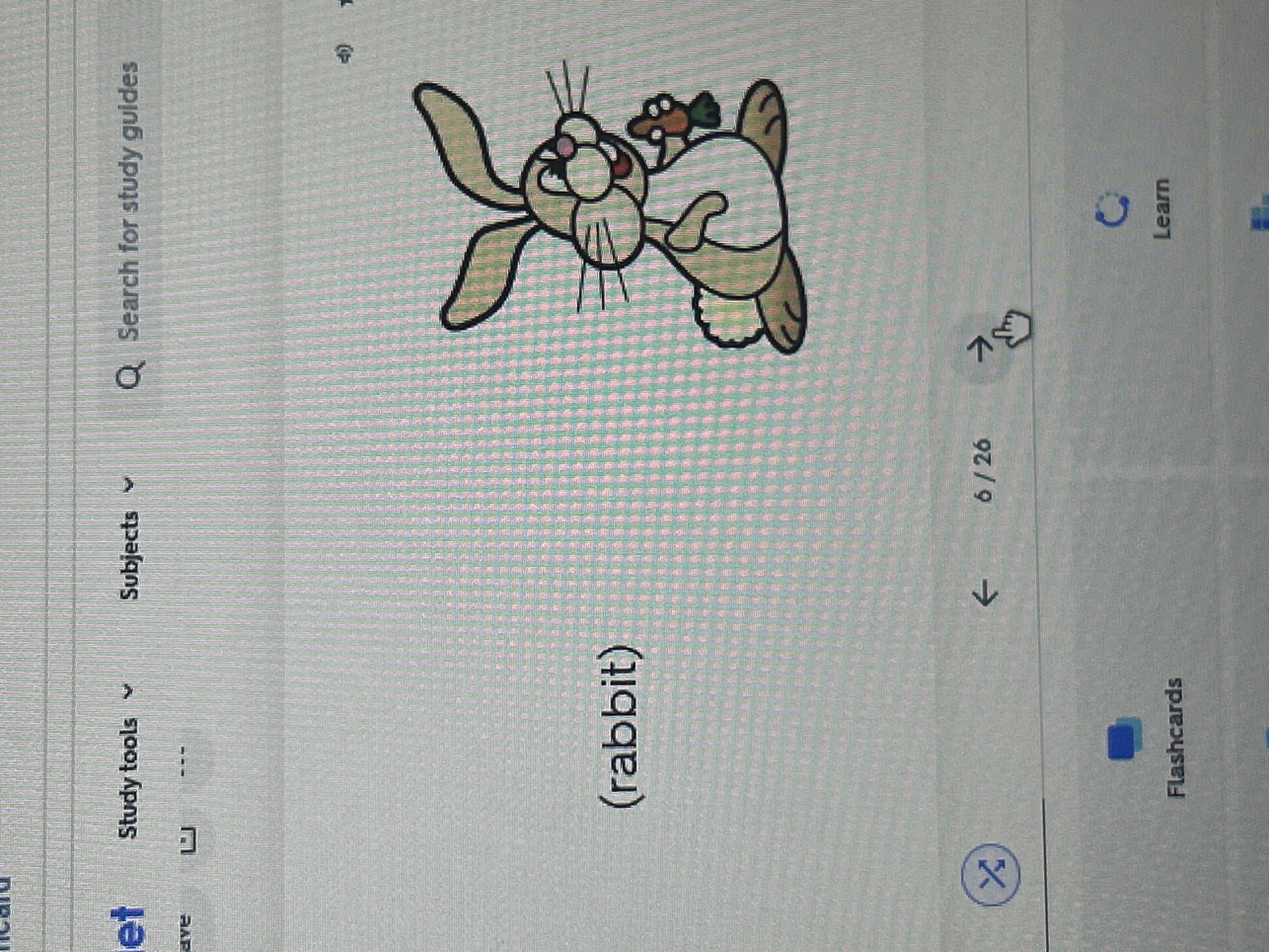 knowt flashcard image