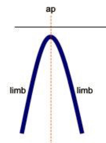 Axial plane is vertical, the two limbs dip in opposite directions