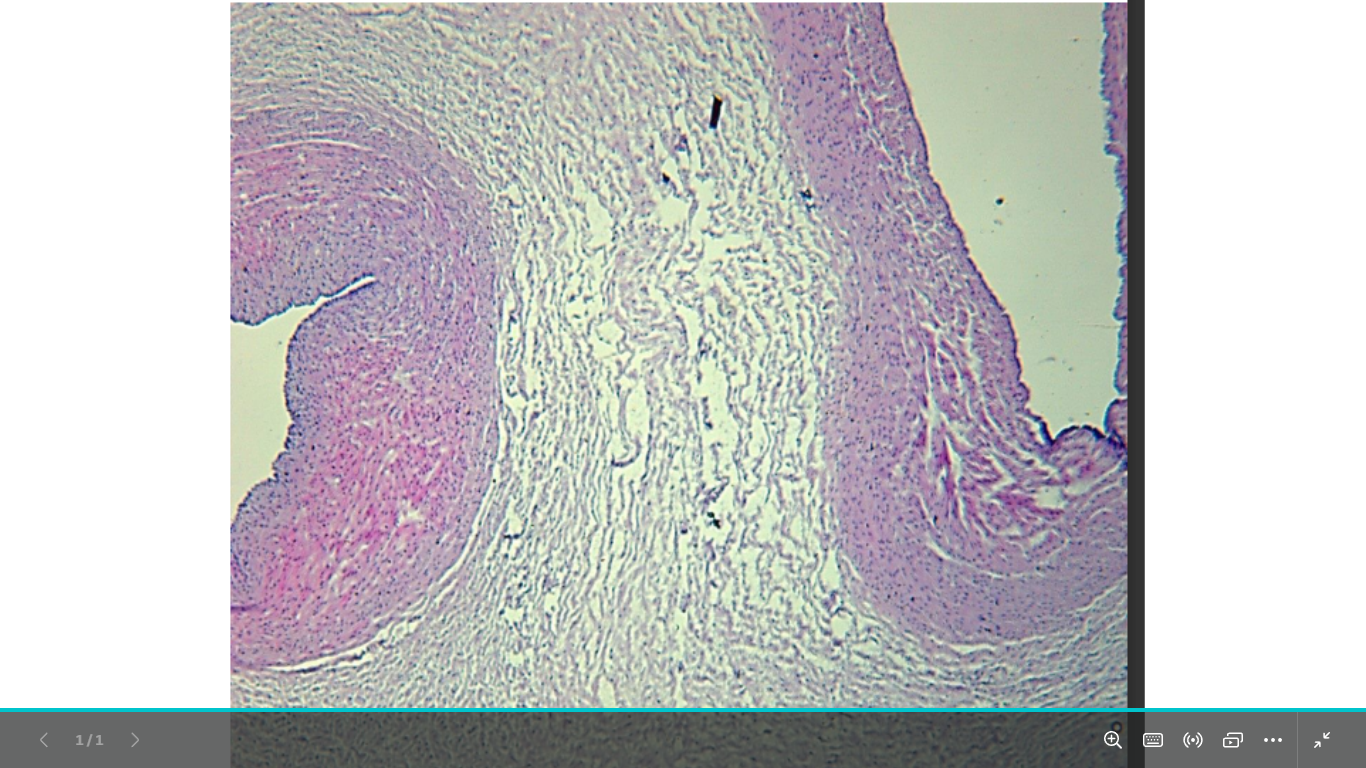 <p>identify </p><p>mention one site </p>