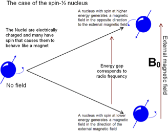 <ul><li><p><span>utilizes radiation in the radio-frequency region (0.5–75 m) to excite molecules.</span></p></li><li><p><span>induces changes in the nucleus, rather than the electrons, of an atom- using spin of nucleus</span></p></li><li><p><span>The presence of a strong magnetic field is needed to observe the nuclear transitions</span></p></li><li><p><span>If molecules are placed in a strong magnetic field, the nuclei of some atoms will begin to behave like small magnets.</span></p></li><li><p><span>When radio frequency waves are applied to the sample, the nuclei will begin to resonate at their own specific frequencies.</span></p><ul><li><p><span>Odd number of protons means a nucleus will have spin, even no-spin</span></p></li></ul></li><li><p><span>The resonant frequencies of the nuclei are then measured</span></p></li><li><p><span>The height of each peak represents the number of nuclei that resonates at each specific frequency. This is known as the intensity of signal. The more resonating nuclei, the higher the intensity.</span></p></li><li><p><span>The value of each frequency, or tone, gives information about the surroundings of the atom such as its neighboring atoms and their relative positions.</span></p></li><li><p><span>Nuclei that have odd number of protons and/or neutrons have spin</span></p></li></ul><p>what information can we get?</p><ul><li><p><span>NMR spectra are generally plotted as peak intensity (<em>y</em>-axis) versus chemical shift in parts per million (<em>x</em>-axis, ppm).</span></p></li><li><p><span>Samples can be examined for the presence of certain types of bonds using characteristic chemical shifts for different groups</span></p></li><li><p><span>Also, the relative amounts of atoms in various chemical states can be easily obtained.</span></p></li></ul><p></p>