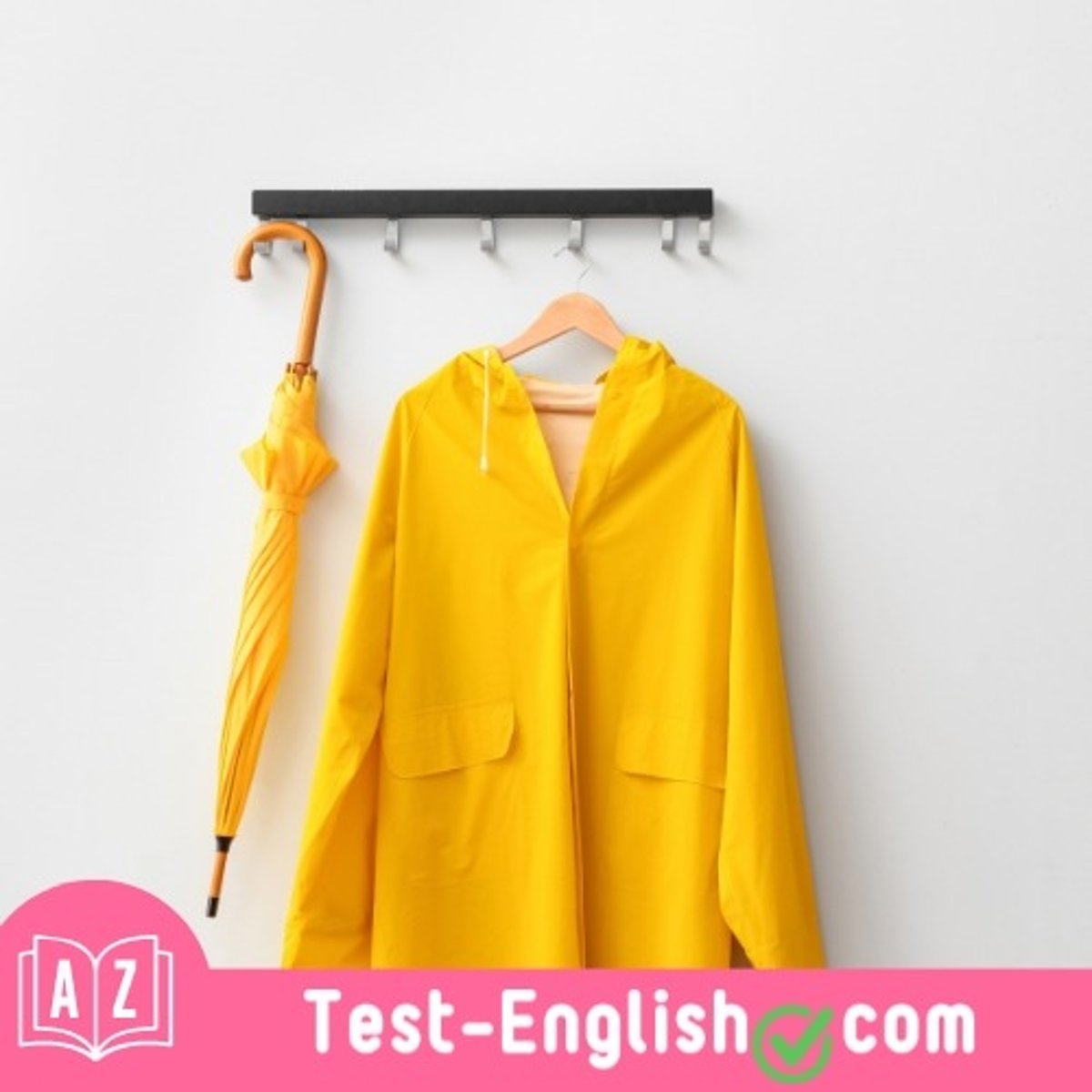 <p>Don't forget your _____; it might rain later.</p>