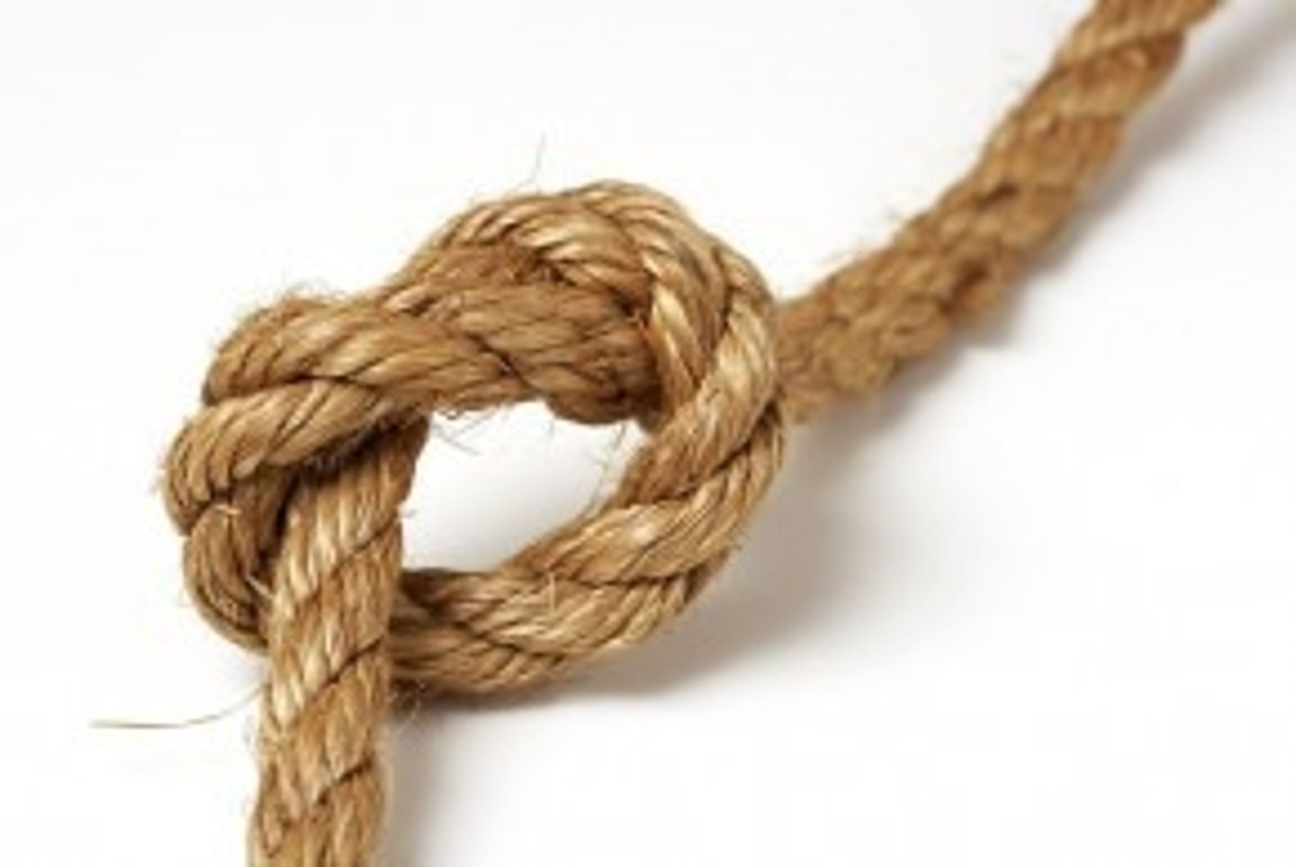 <p>der Knoten</p>