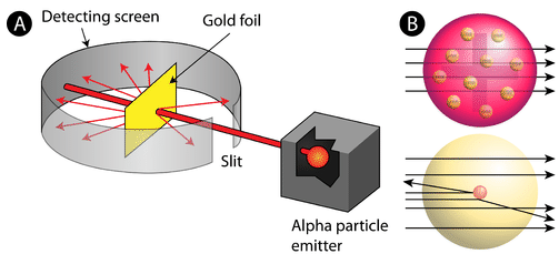 <ul><li><p>Gold Foil Experiment = shot high energy beam of + alpha particles into gold foil</p></li><li><p>Expected: the alpha particles would pass straight through the foil, but:</p></li><li><p>few particles were deflected at small angles</p></li><li><p>very few particles were deflected at large angles</p></li><li><p>Proved that all atoms are mostly empty spaced </p></li></ul><p></p>
