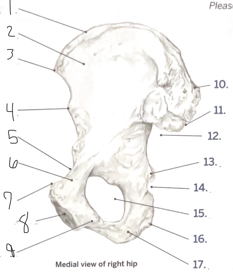 <p>11</p>