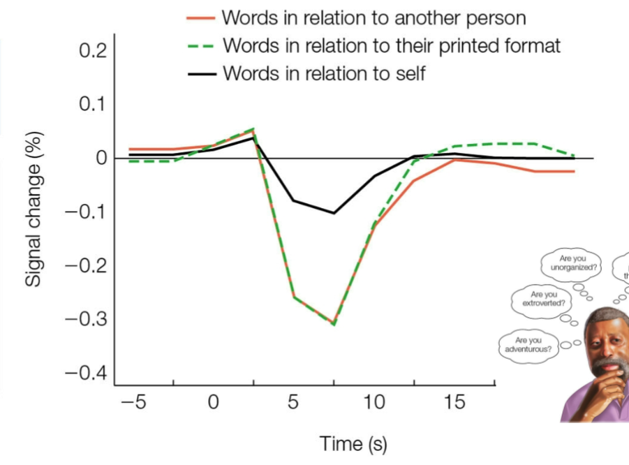 <p>medial PFC</p><ul><li><p>less inhibition and increased activation in the medial PFC when relating words to the self</p></li></ul><p></p>