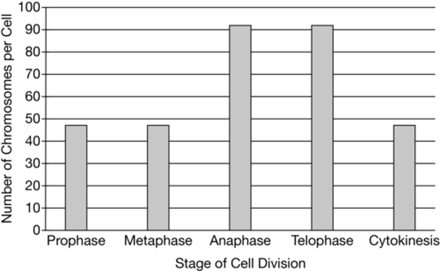 <p><strong>C. </strong>Chromosomes enter metaphase containing two chromatids attached by a centromere. During anaphase, the chromatids are separated, each becoming a chromosome. Cytokinesis distributes the chromosomes into two separate cells.</p>