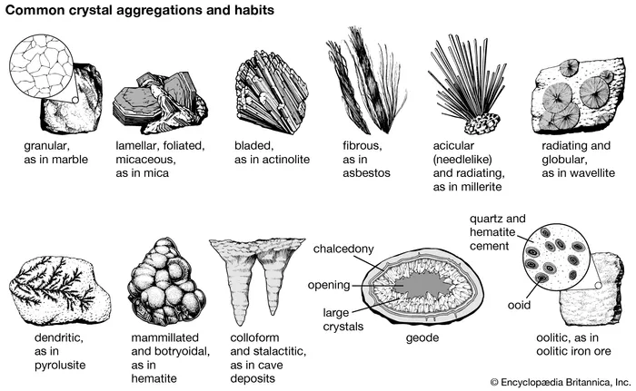 <p>Mammillary habit</p>