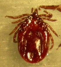 <p>What does this image show?</p>