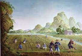 Def:  A forced labor system practiced by conquistadors in the former Inca Empire.
Lo 6: DIfferent from the Inca Mit'a system which was used for public service, the spanish mita system was used for native slaves to work on cash crop plantations.