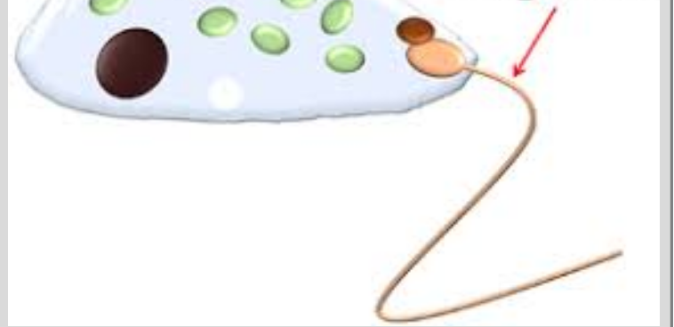 <p>What is this?</p>